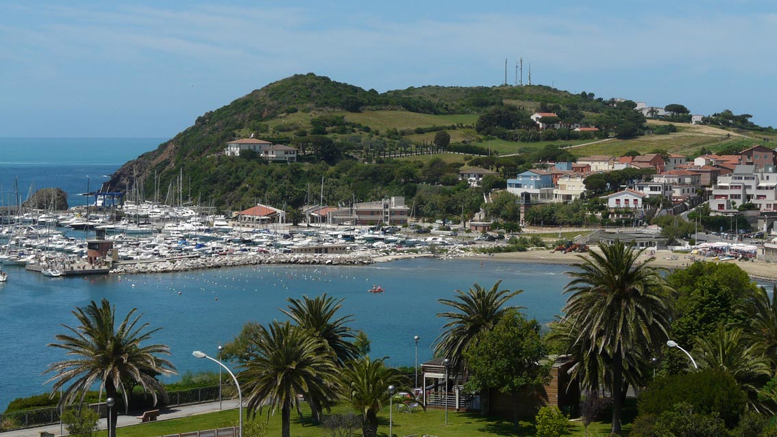 Rio Salivoli (Piombino) - rospi smeraldini in citt!